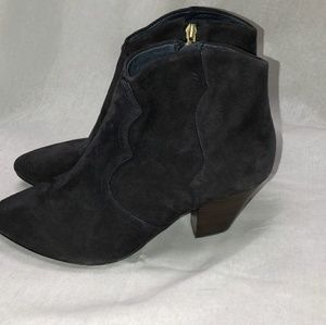 Ash Suede blue suede booties